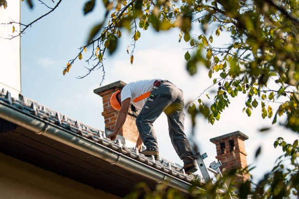 Roof Waterproofing Services in Mount Carmel, OH