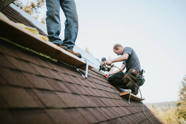 Professional Roofing Contractor in Mount Carmel, OH